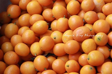 dior ange|what are small oranges called.